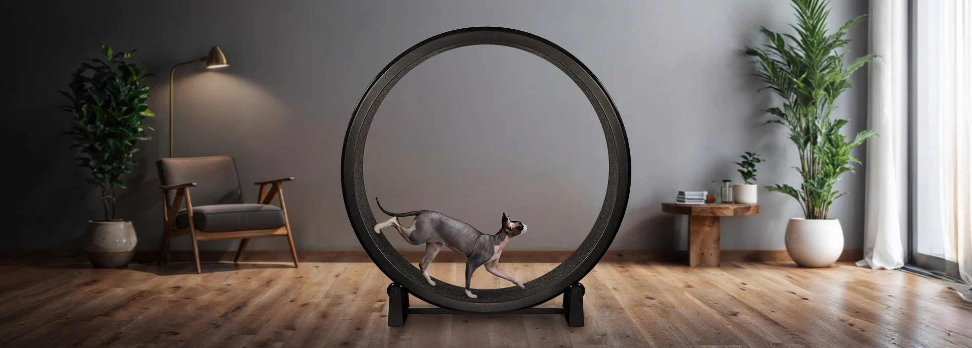 Unleash Your Cat’s Natural Instincts